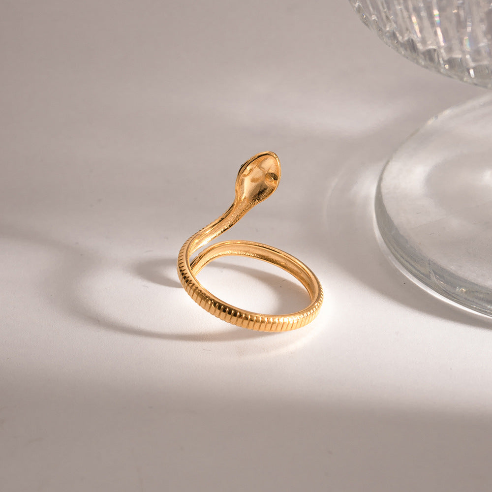 Minimalist Curved Snake Ring - Vintage Titanium Steel Coiled Band, Edgy Statement Jewelry