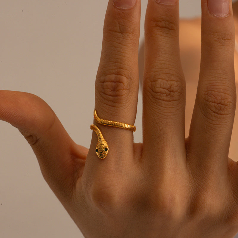 Minimalist Curved Snake Ring - Vintage Titanium Steel Coiled Band, Edgy Statement Jewelry
