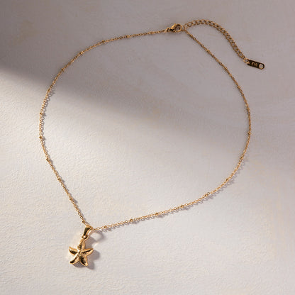 Starfish Necklace - Beachy Sea Life Pendant Jewelry in Stainless Steel